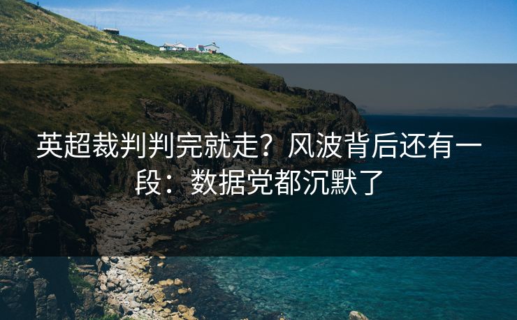 英超裁判判完就走？风波背后还有一段：数据党都沉默了