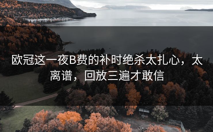 欧冠这一夜B费的补时绝杀太扎心,太离谱,回放三遍才敢信