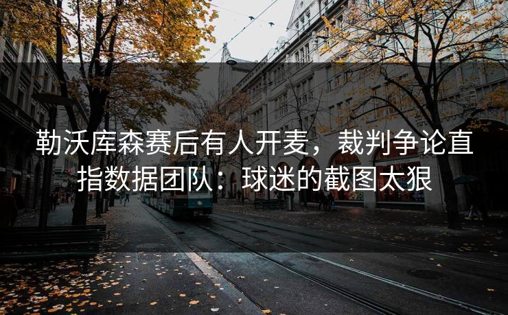 勒沃库森赛后有人开麦，裁判争论直指数据团队：球迷的截图太狠