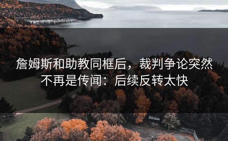 詹姆斯和助教同框后，裁判争论突然不再是传闻：后续反转太快