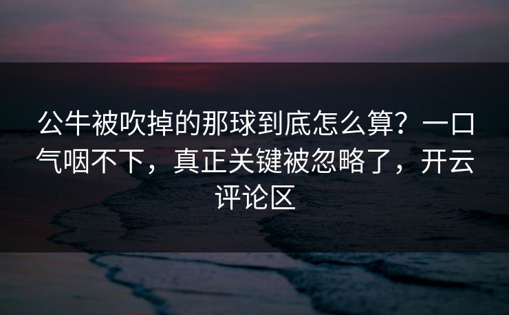 公牛被吹掉的那球到底怎么算?一口气咽不下,真正关键被忽略了,开云评论区
