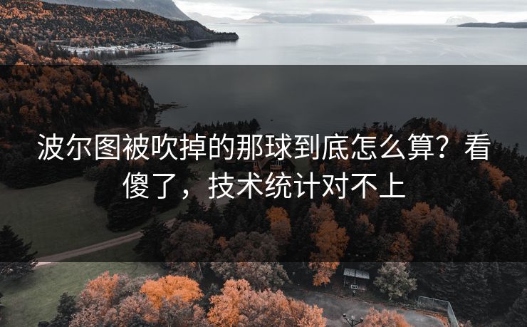 波尔图被吹掉的那球到底怎么算？看傻了，技术统计对不上
